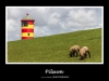 pilsum1