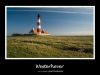 westerhever1